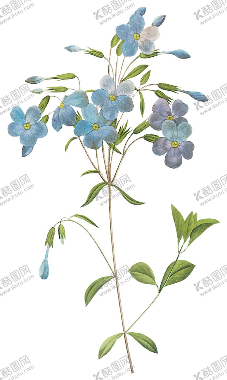 编号：47080507140237272485【酷图网】源文件下载-植物花卉油画装饰画