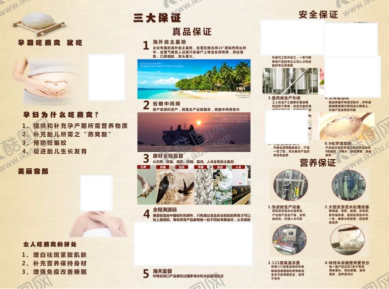 编号：84523404241927477148【酷图网】源文件下载-保健品折页