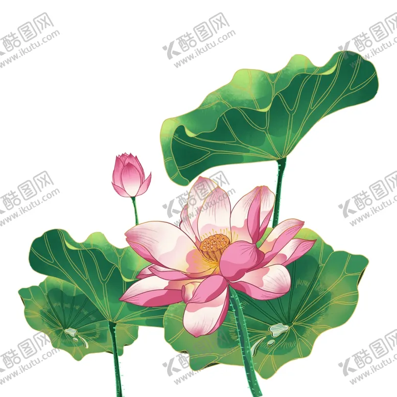 编号：17439412052020069165【酷图网】源文件下载-荷花 荷叶