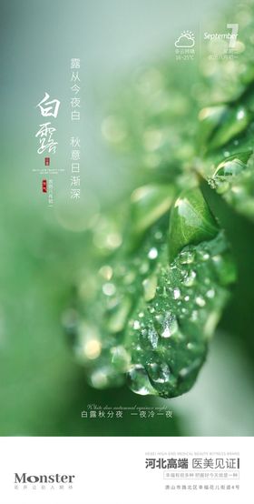 医美雨水节气海报