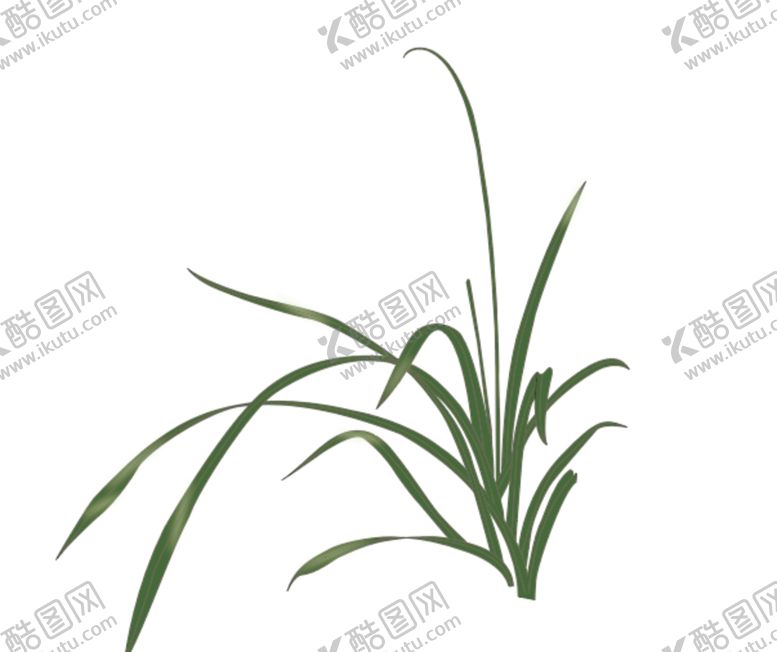 编号：61520709191608188069【酷图网】源文件下载-兰花