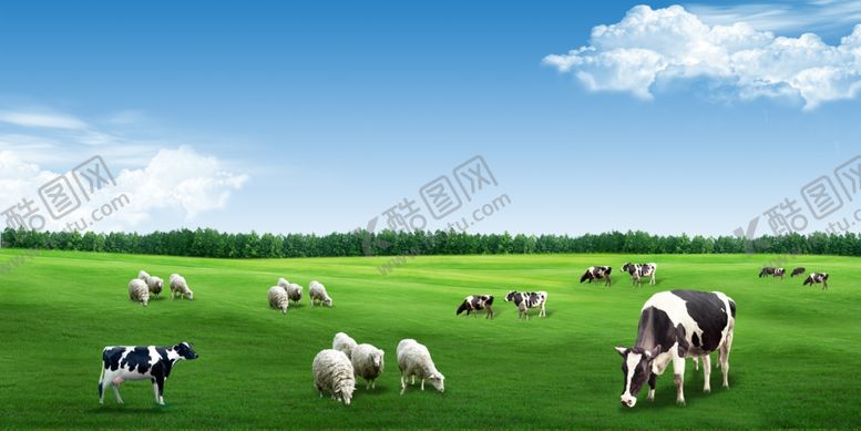 编号：31470503311708054445【酷图网】源文件下载-草原牛羊图片