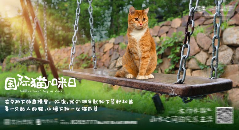 编号：24376205112035254808【酷图网】源文件下载-国际爱猫日海报展板