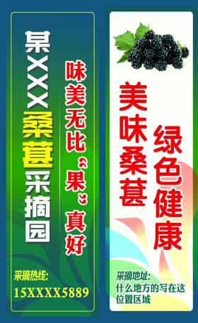 桑葚