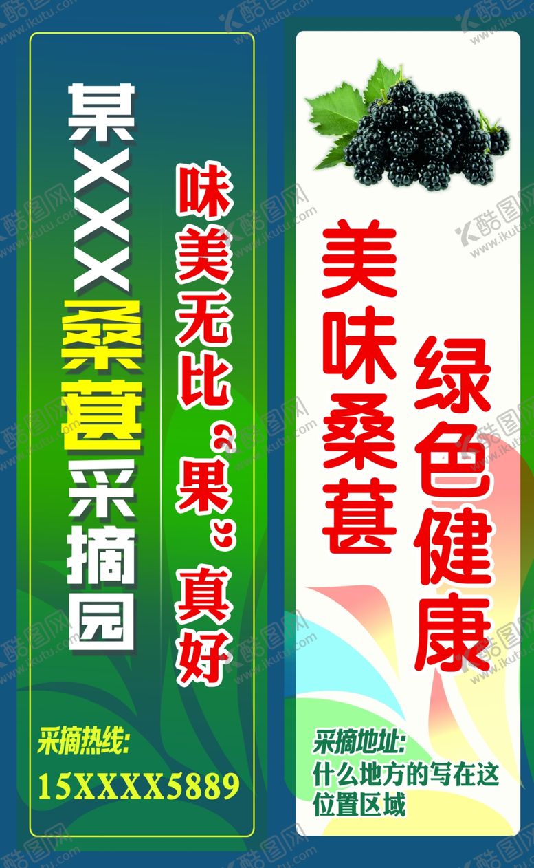 编号：72672907070630463261【酷图网】源文件下载-桑葚