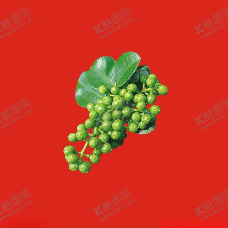 编号：51756803070030367414【酷图网】源文件下载-青花椒
