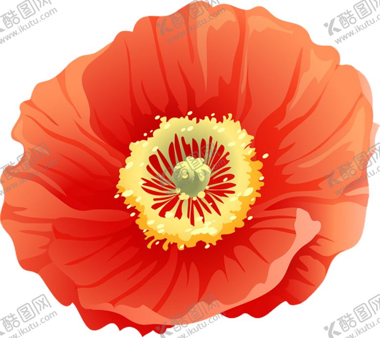 编号：77382910032011487859【酷图网】源文件下载-红花手绘插画