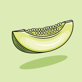 卡通哈密瓜包装宣传绿色插图