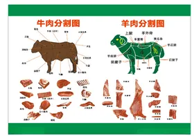 牛羊肉分割图