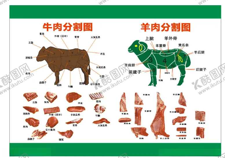 编号：36446402111348326895【酷图网】源文件下载-牛羊肉分割图