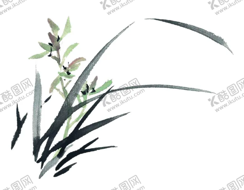 编号：25957102110834102260【酷图网】源文件下载-水墨兰花PNG