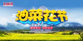 油菜花