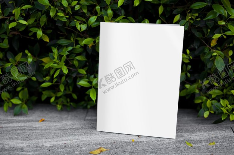 编号：99889407121957518148【酷图网】源文件下载-杂志样机