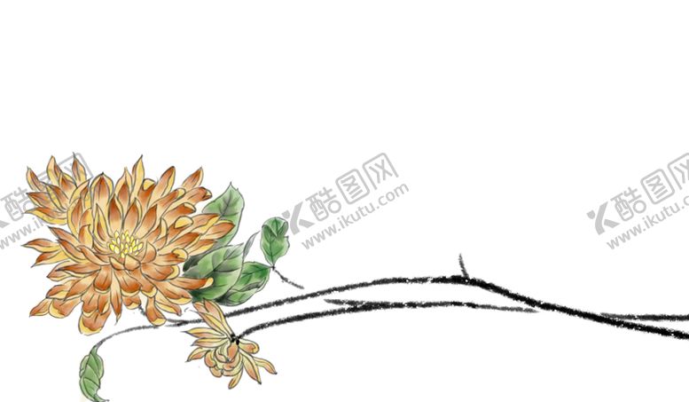编号：82340506290856192542【酷图网】源文件下载-菊花素材