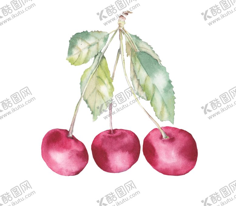 编号：13313409161306565736【酷图网】源文件下载-水果