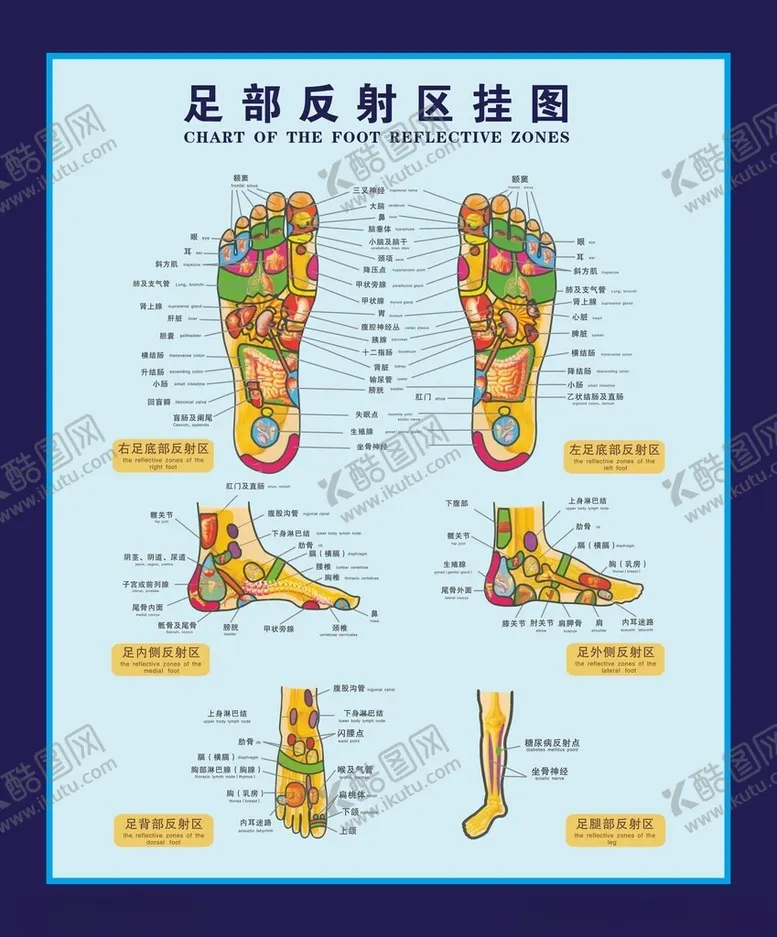 编号：12340002160654074736【酷图网】源文件下载-足浴