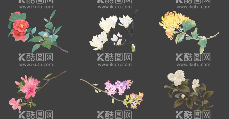 编号：93465009151508249134【酷图网】源文件下载-花朵花卉枝叶花草植物插画设计PNG