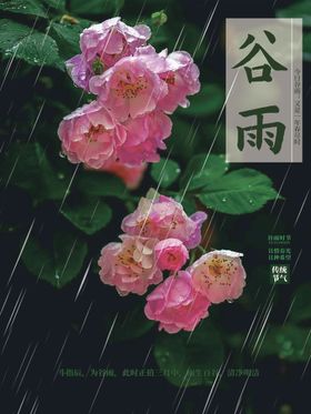 谷雨