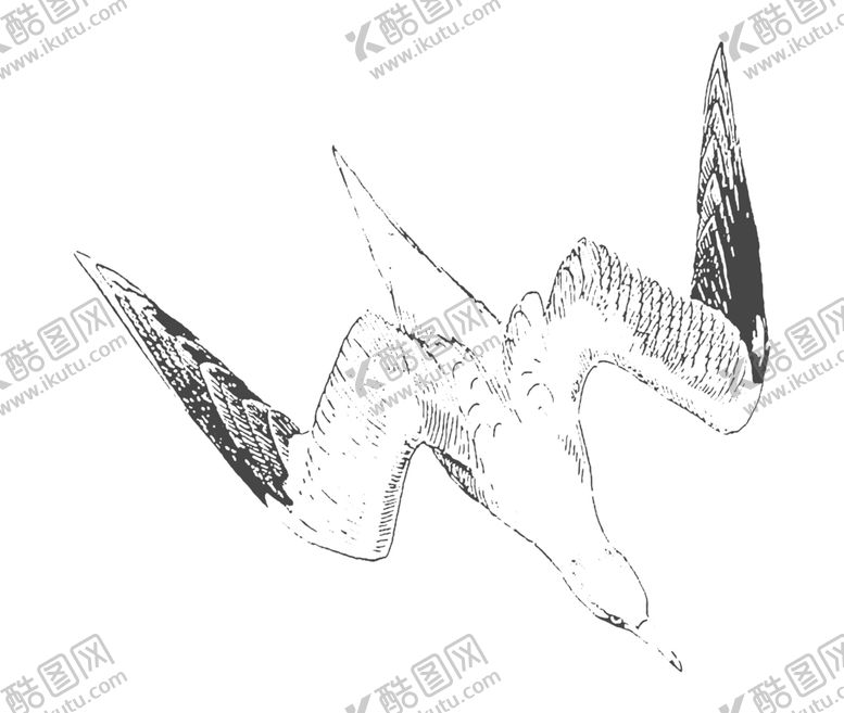 编号：92754410270059161672【酷图网】源文件下载-鸟类鸭子素材绘画