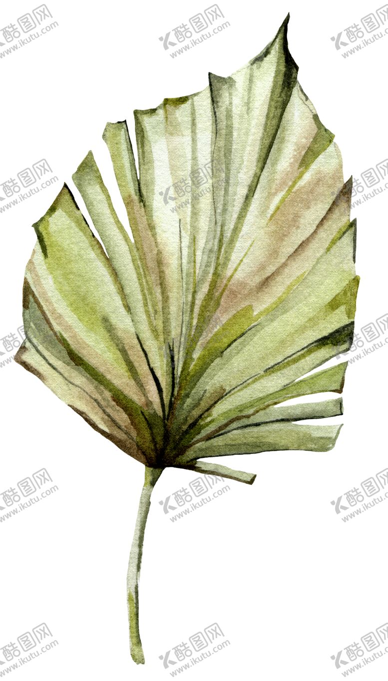 编号：53495110270150068778【酷图网】源文件下载-植物花朵装饰图案