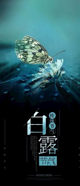 白露品牌建筑水雾