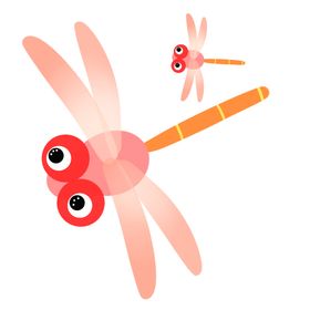 蜻蜓