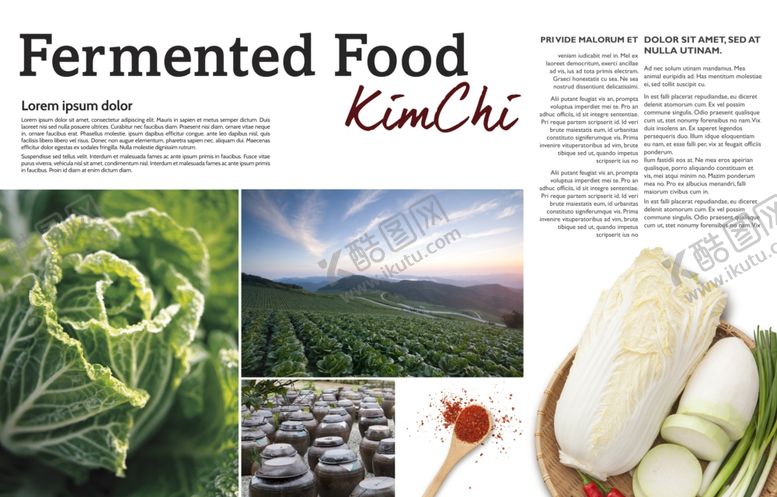 编号：77988210101117379701【酷图网】源文件下载-美味果蔬画册