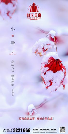 地产小雪