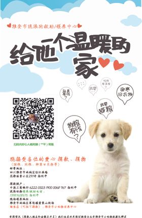 宠物温暖的家对话框小狗