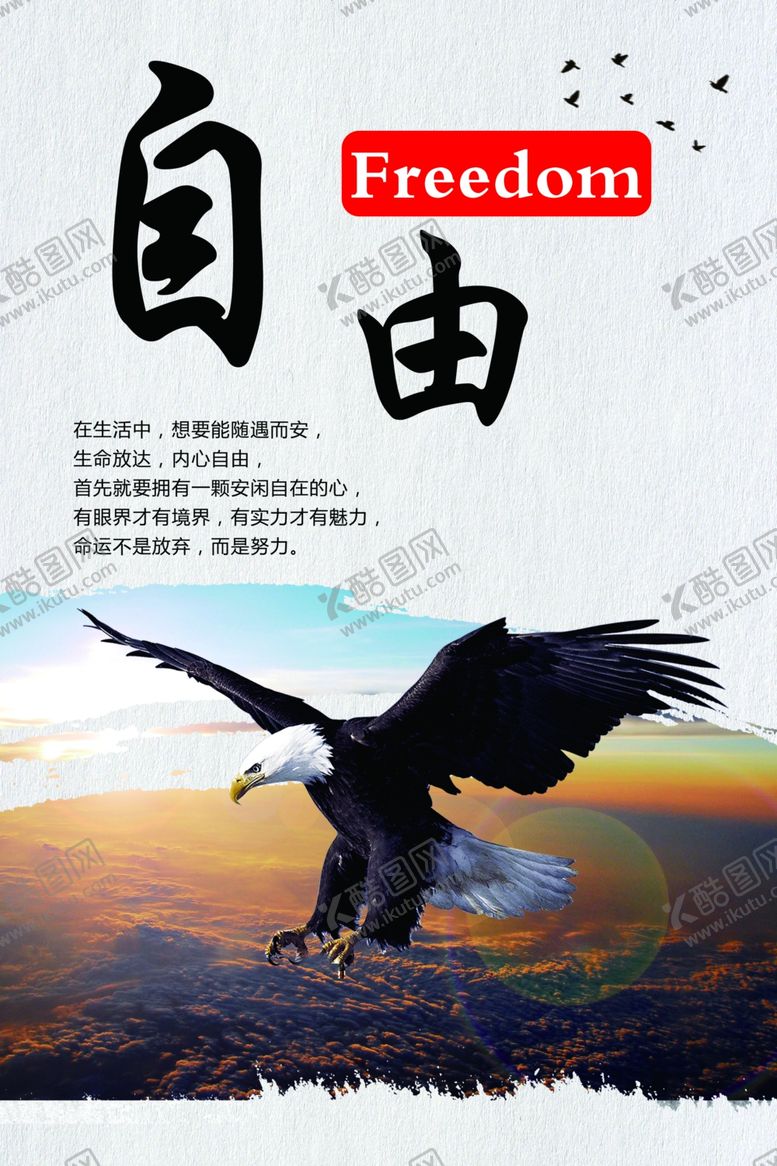 编号：14956603140244181627【酷图网】源文件下载-雄鹰自由