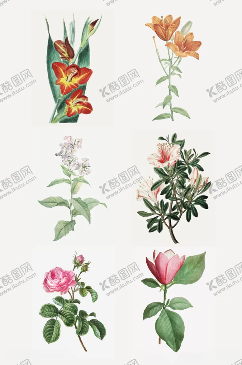 编号：12775002270431326684【酷图网】源文件下载-手绘水彩绿植插画元素