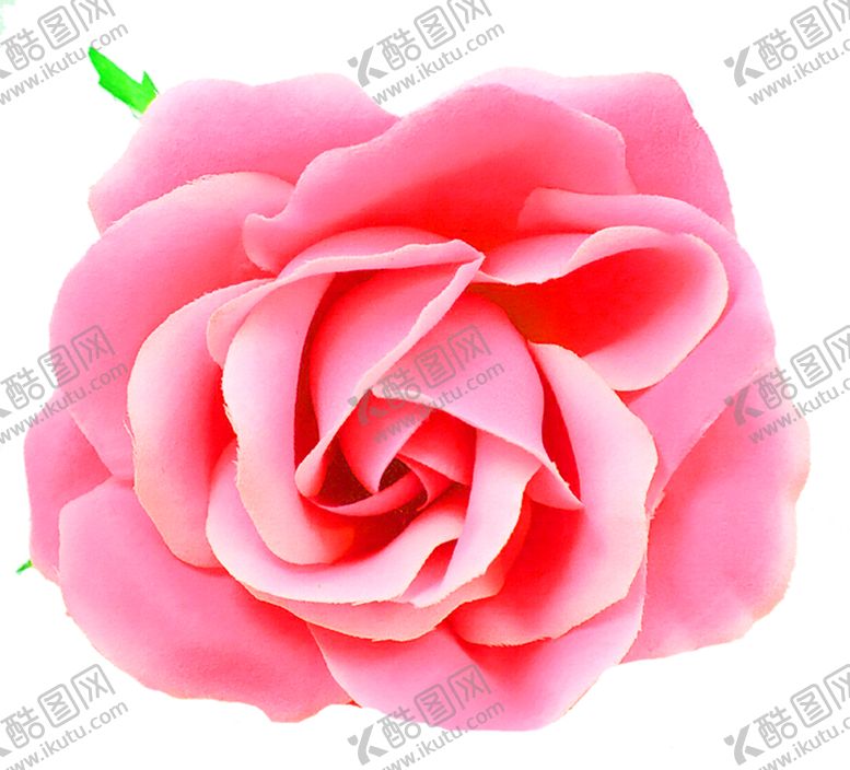 编号：31942409190108314933【酷图网】源文件下载-鲜花装饰