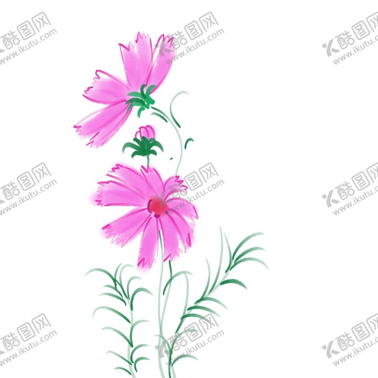 编号：77893409101731218064【酷图网】源文件下载-格桑花插画