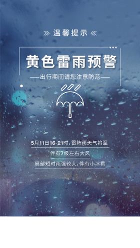 编号：29751609241707479085【酷图网】源文件下载-暴雨预警谨慎出行宣传海报