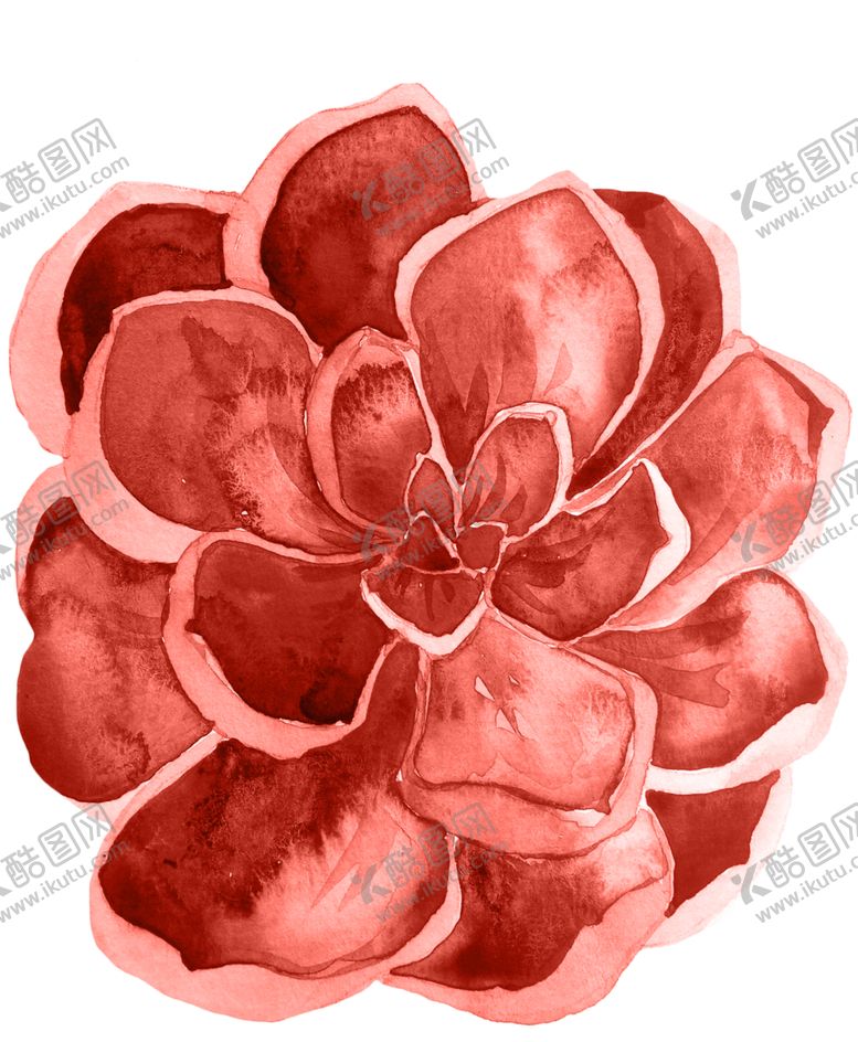 编号：92860709211200016889【酷图网】源文件下载-水彩植物花朵装饰