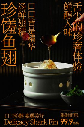 珍馐鱼翅美味海报