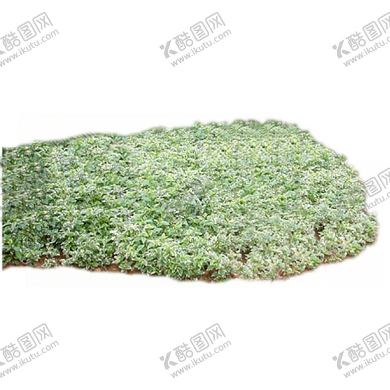 编号：73928009291408364903【酷图网】源文件下载-绿色植物