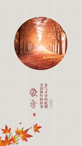 秋分节气海报