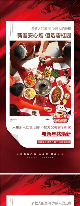 安心购返乡痛点春节置业海报