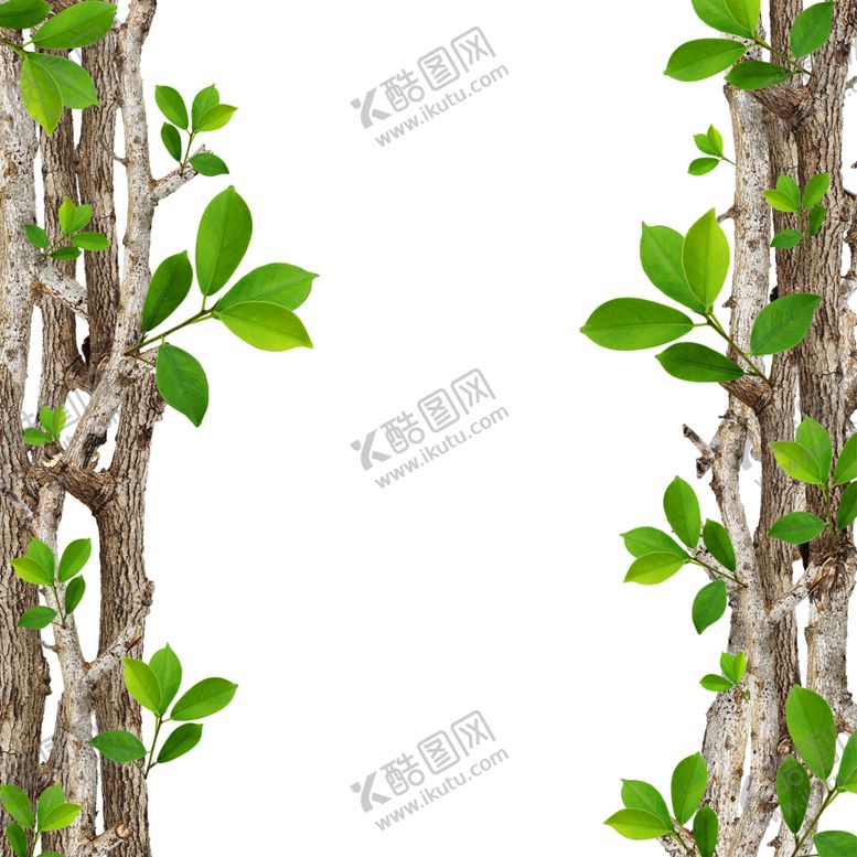 编号：99520007081409534797【酷图网】源文件下载-花边底纹