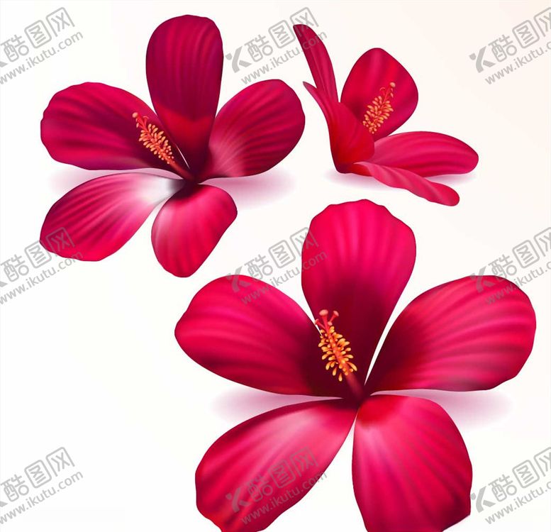 编号：20873210302121165042【酷图网】源文件下载-卡通花朵