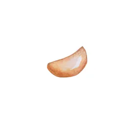 手绘彩色蔬菜免扣素材图片
