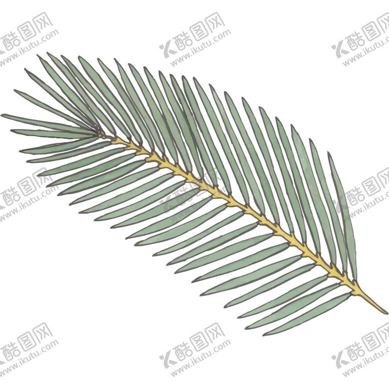 编号：35238004290713204519【酷图网】源文件下载-叶子图片