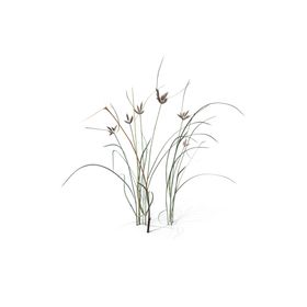 花草绿植艺植物效果图婚礼艺