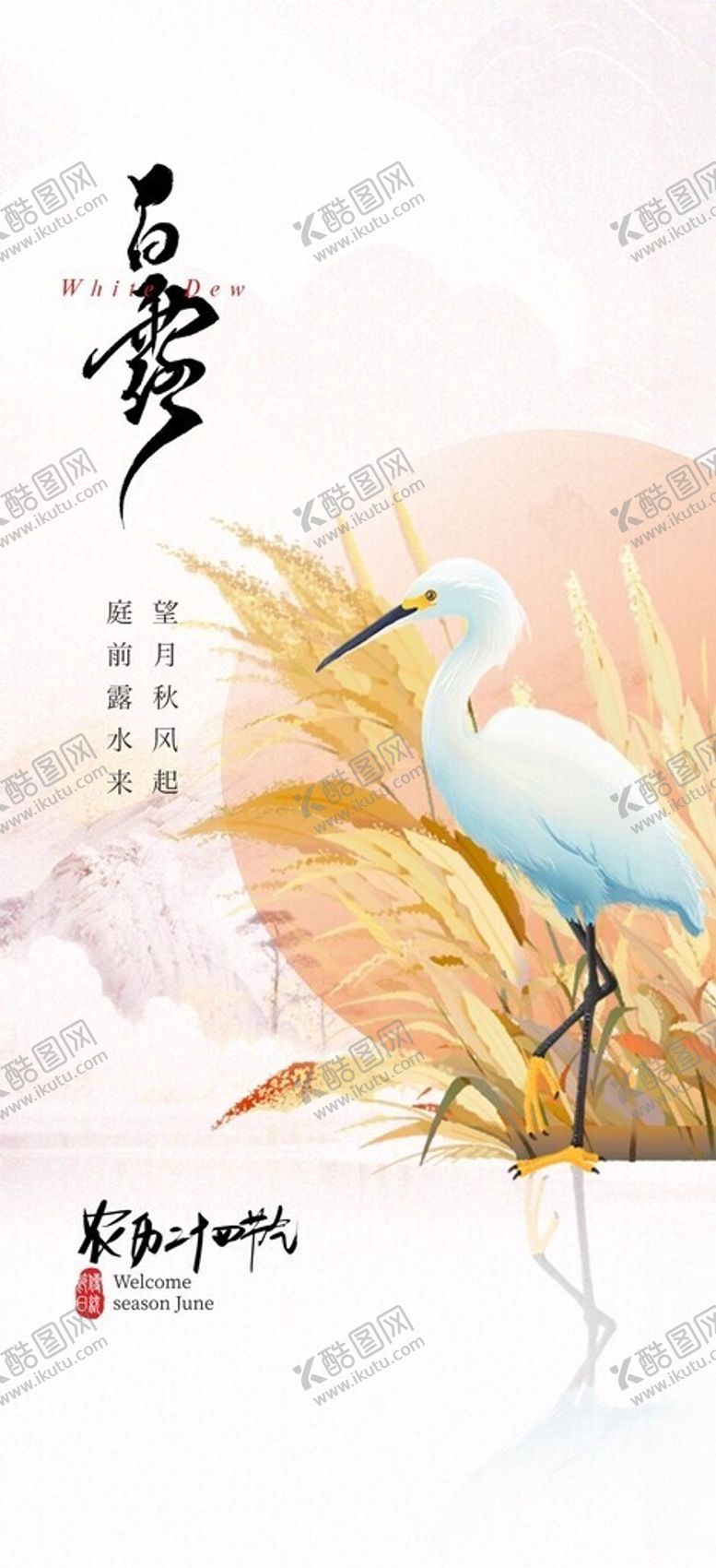 编号：87336402210301115110【酷图网】源文件下载-白露海报