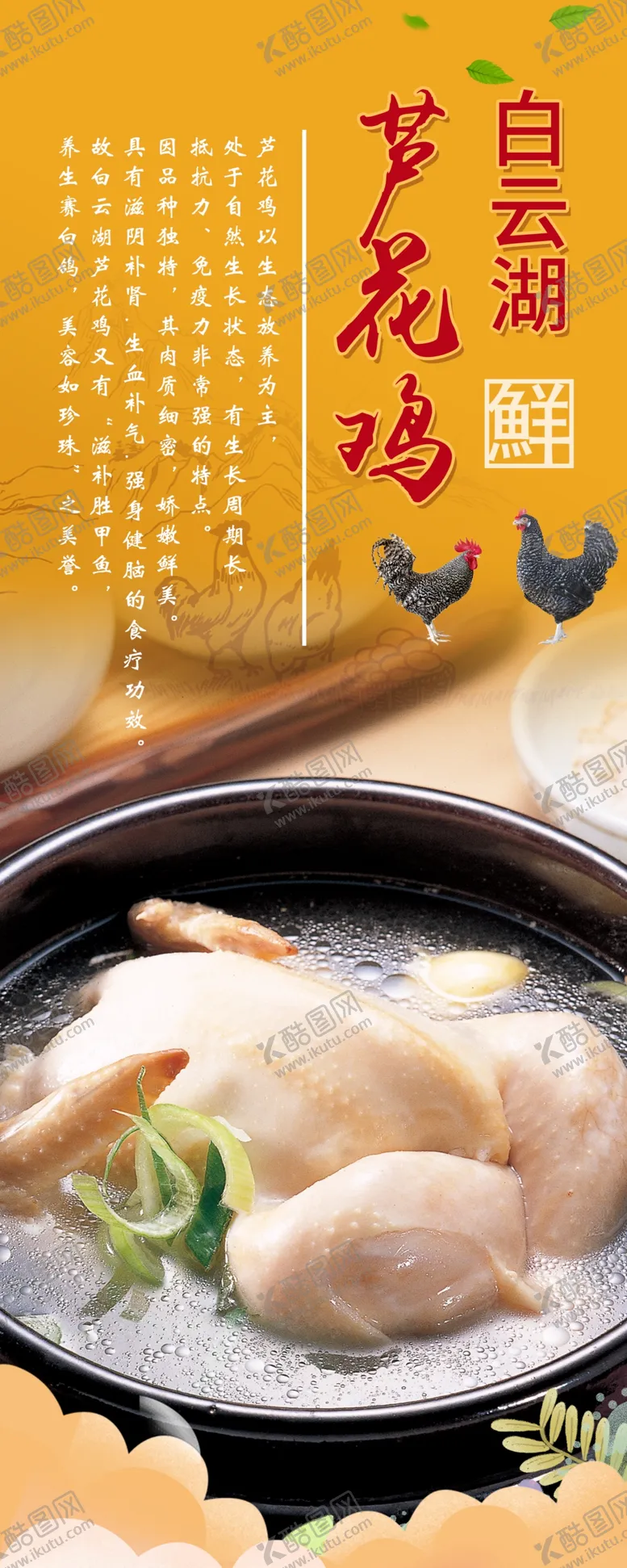 编号：30449804201152401490【酷图网】源文件下载-芦花鸡