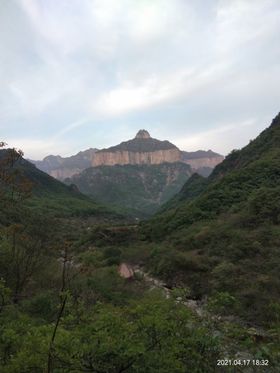 天界山风景国内旅游自然自然观