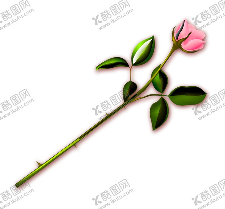 编号：66908405110112405495【酷图网】源文件下载-鲜花装饰