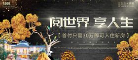 房地产金色大气dm黑金