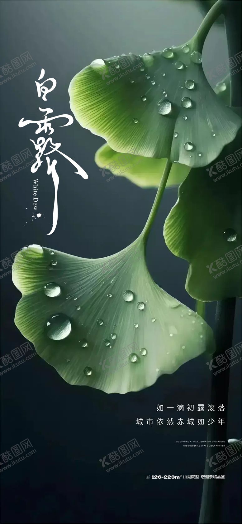 编号：18580512020020536272【酷图网】源文件下载-白露节气海报